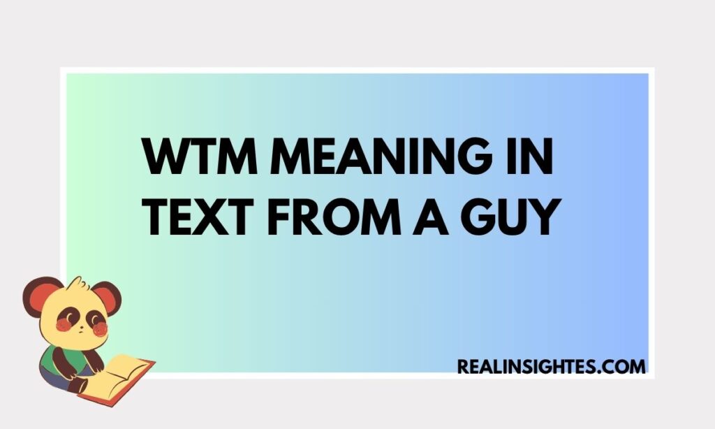 WTM Meaning in Text From a Guy