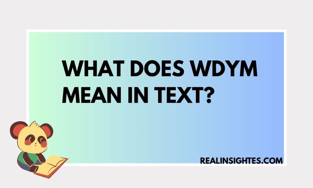 What-Does-WDYM-Mean-in-Text