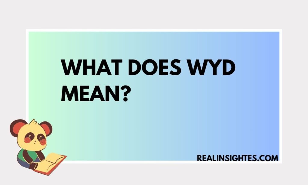 What Does WYD Mean