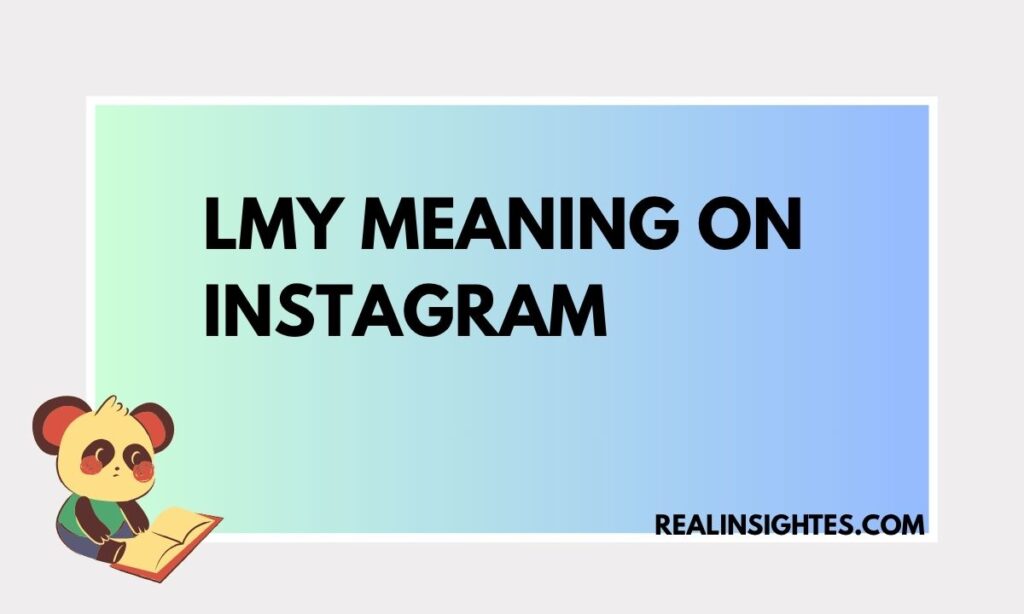 LMY Meaning on Instagram