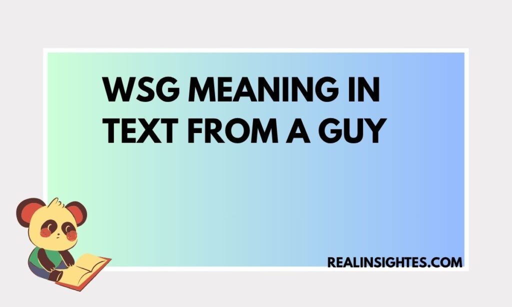 WSG Meaning in Text From a Guy (3)