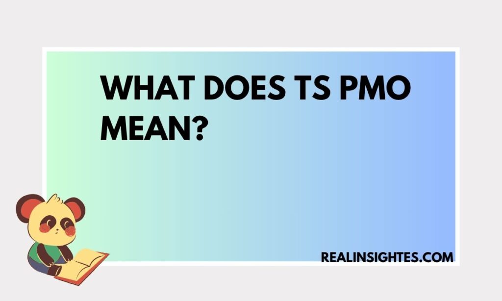 What Does TS PMO Mean
