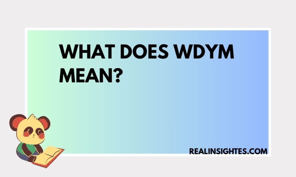 What Does WDYM Mean