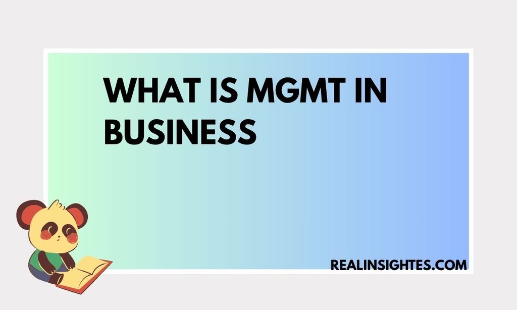 What Is MGMT in Business
