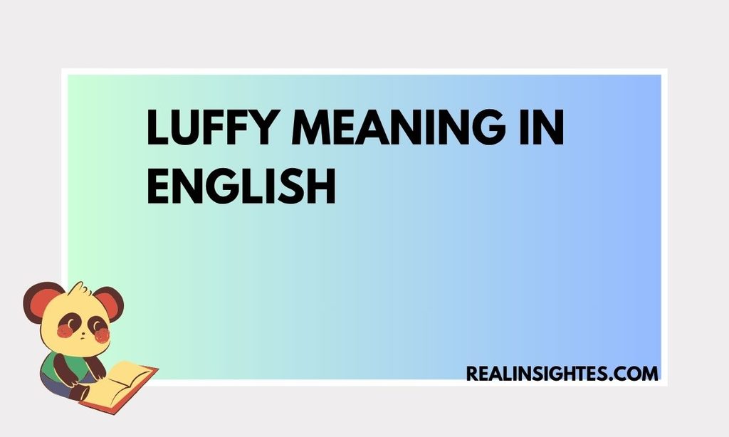 Luffy Meaning in English