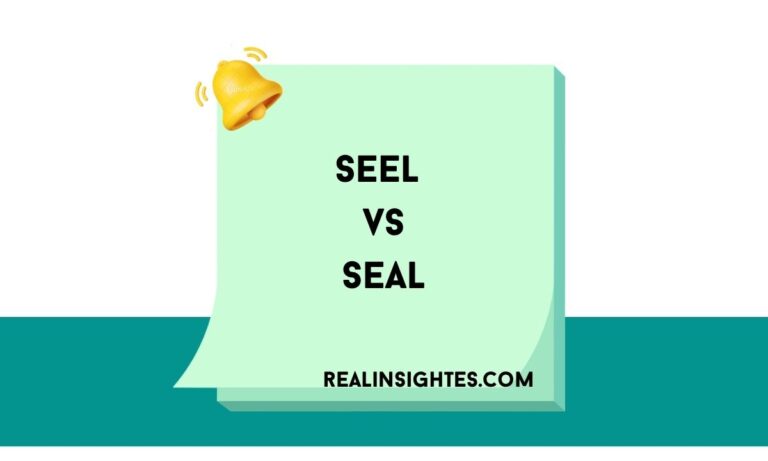 Seel vs Seal